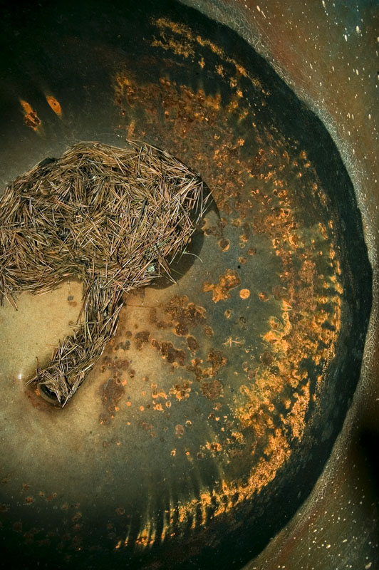 Photography by Reconban for DesignCrowd (Community Contests) | Design #9017137