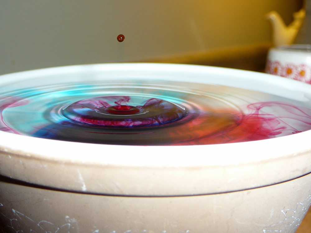 Photography by SteelMonkey for DesignCrowd (Community Contests) | Design #9021606