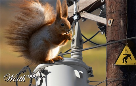 Photoshop Design by beanfarmer