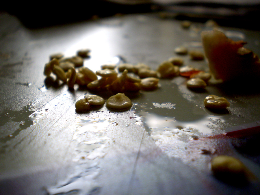 Fotografie von Succexxyy für DesignCrowd (Community Contests) | Design #9021613