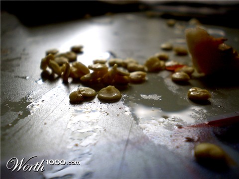 Photography by Succexxyy