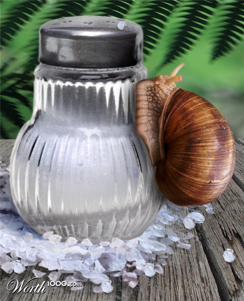 Photoshop Design by Rhopal