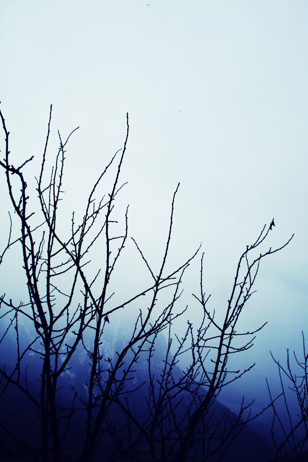 Fotografía por lkGaia para DesignCrowd (Community Contests) | Diseño #9010947