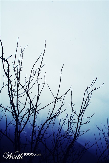 Photography by lkGaia