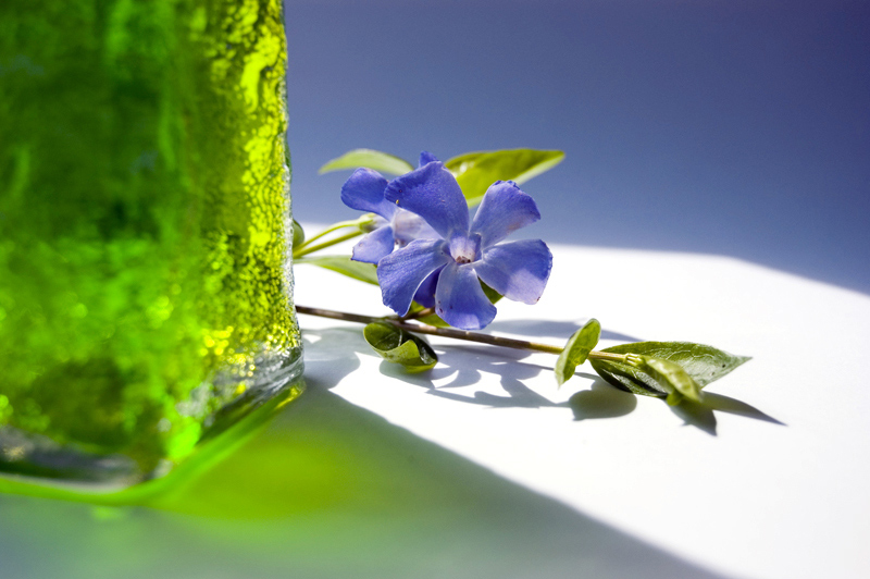 Photographie par sproglet pour DesignCrowd (Community Contests) | Design #9017114