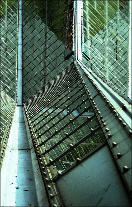 Photographie par Elinorthen pour DesignCrowd (Community Contests) | Design #9014217