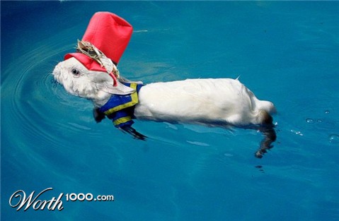 Photoshop Design by montagna