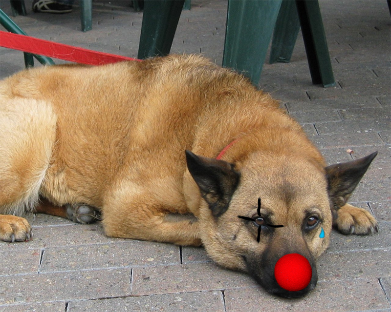 Photoshop Design by piratecon for DesignCrowd (Community Contests) | Design #9021799