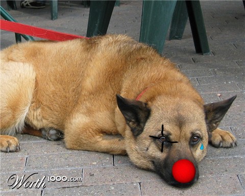 Photoshop Design by piratecon