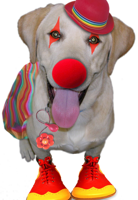 Design Photoshop par Lokstok pour DesignCrowd (Community Contests) | Design #9021792