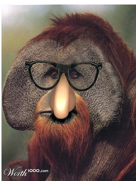 Photoshop Design by pterasaur