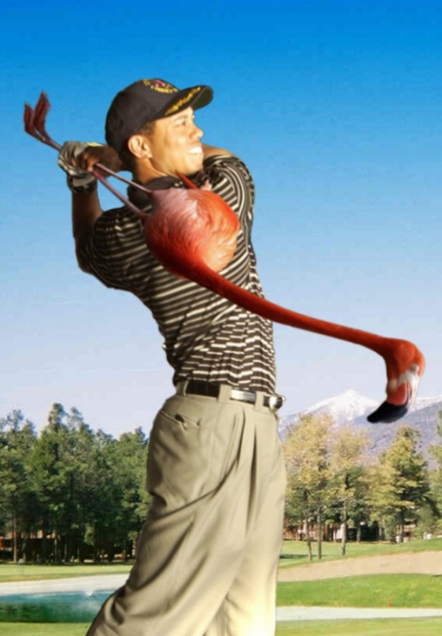 Diseño de Photoshop por Fishwife para DesignCrowd (Community Contests) | Diseño #9012461