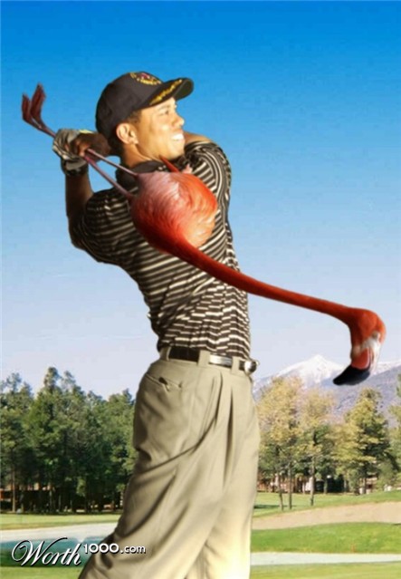 Photoshop Design by Fishwife