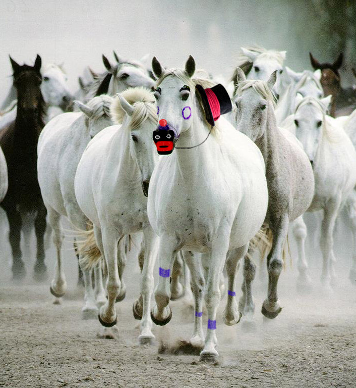 Diseño de Photoshop por Kromvel para DesignCrowd (Community Contests) | Diseño #9021814