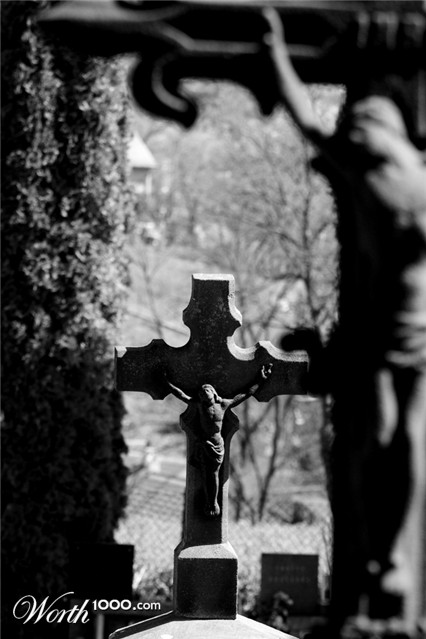 Photography by majkus