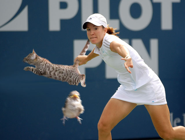 Photoshop-Design von Wolfert für DesignCrowd (Community Contests) | Design #9012406