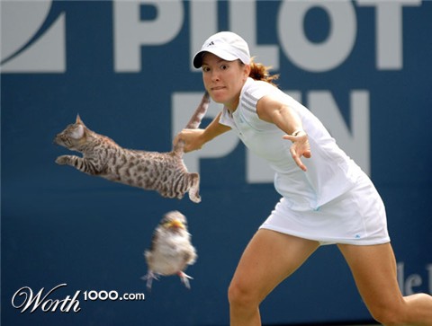 Photoshop Design by Wolfert