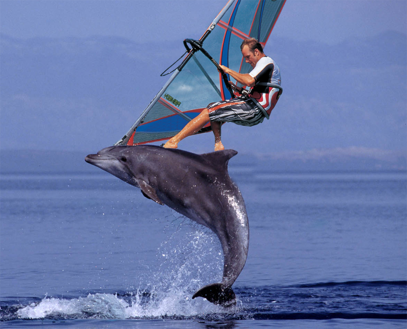 Diseño de Photoshop por altryne para DesignCrowd (Community Contests) | Diseño #9012480