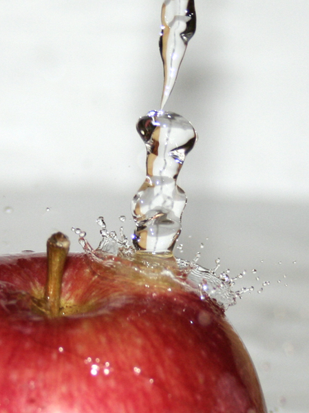 Photography by nazka2002 for DesignCrowd (Community Contests) | Design #9021621