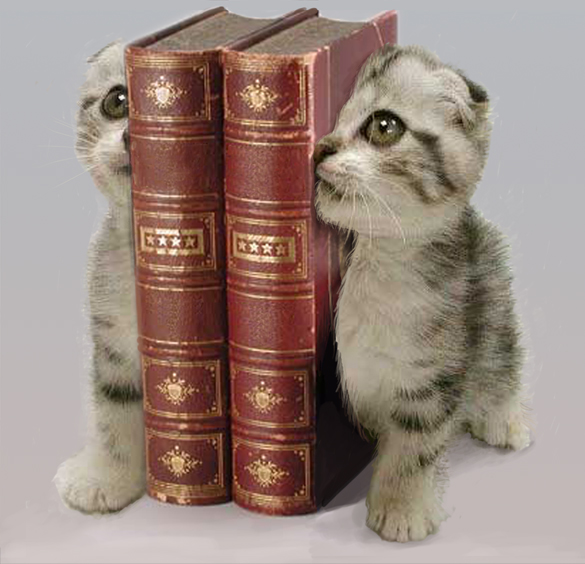 Diseño de Photoshop por Gezzunder para DesignCrowd (Community Contests) | Diseño #9012489