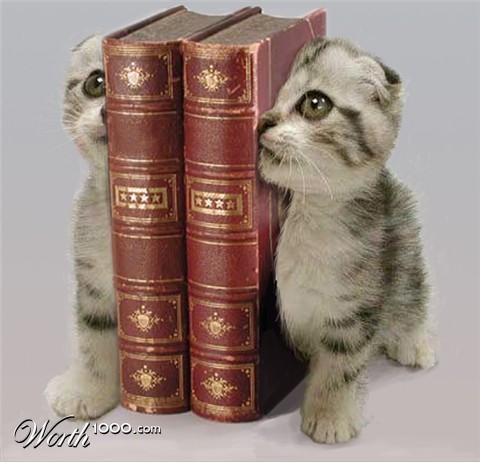 Photoshop Design by Gezzunder