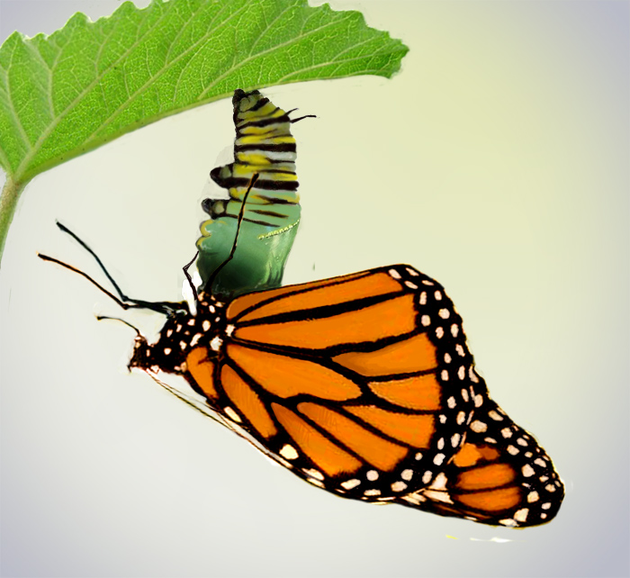 Diseño de Photoshop por Gezzunder para DesignCrowd (Community Contests) | Diseño #9016309