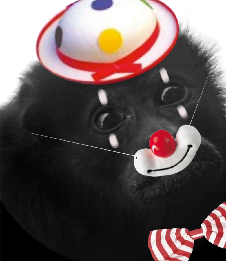 Diseño de Photoshop por Fishwife para DesignCrowd (Community Contests) | Diseño #9021840