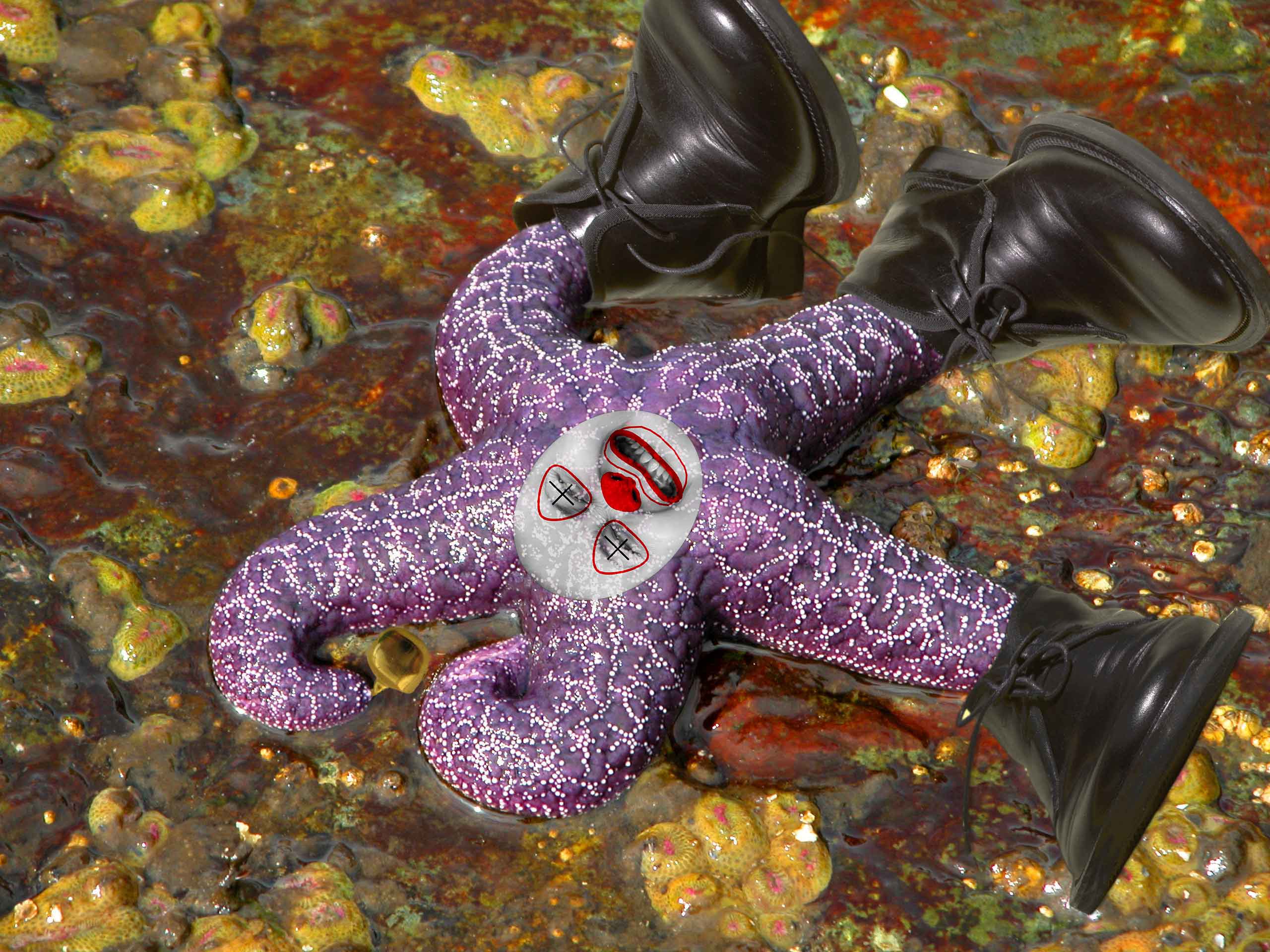 Photoshop-Design von mandythepcgirl für DesignCrowd (Community Contests) | Design #9021882