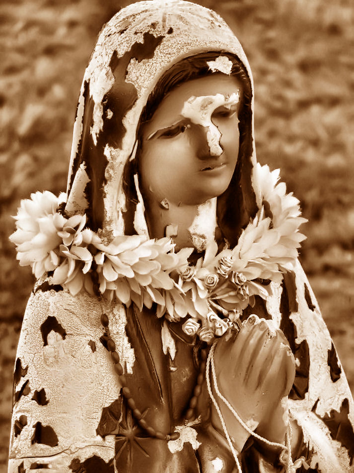 Fotografía por Suziecuchon para DesignCrowd (Community Contests) | Diseño #9010941