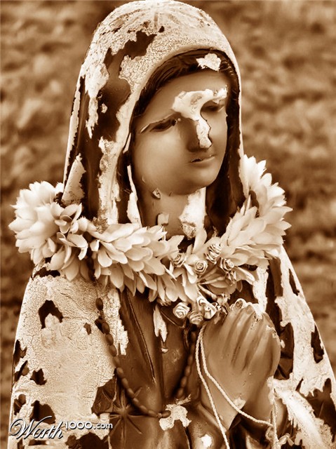 Photography by Suziecuchon