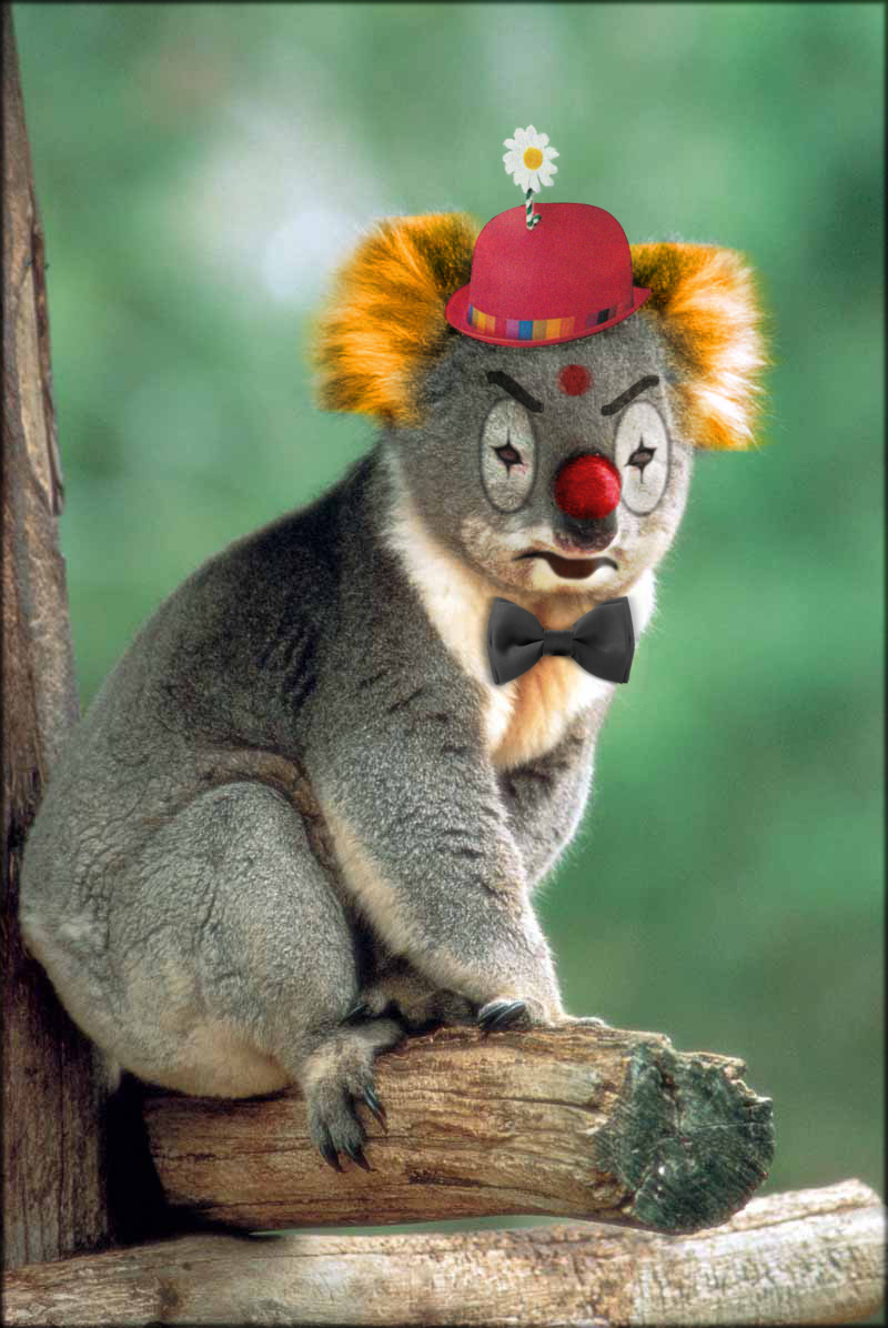 Photoshop Design by NecronoiD for DesignCrowd (Community Contests) | Design #9021822