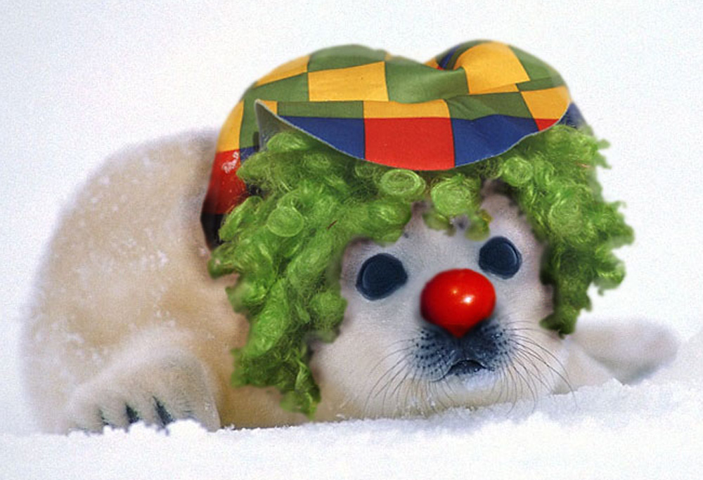 Design Photoshop par waterwife pour DesignCrowd (Community Contests) | Design #9021869