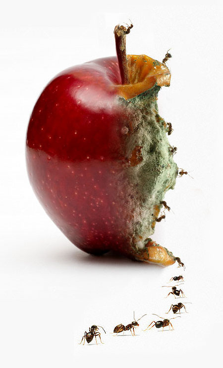 Diseño de Photoshop por ozlemarc para DesignCrowd (Community Contests) | Diseño #9016326