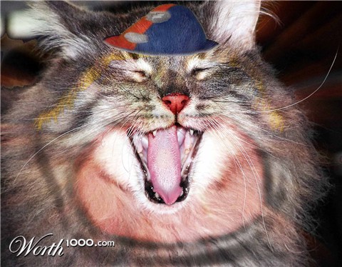 Photoshop Design by grmy01