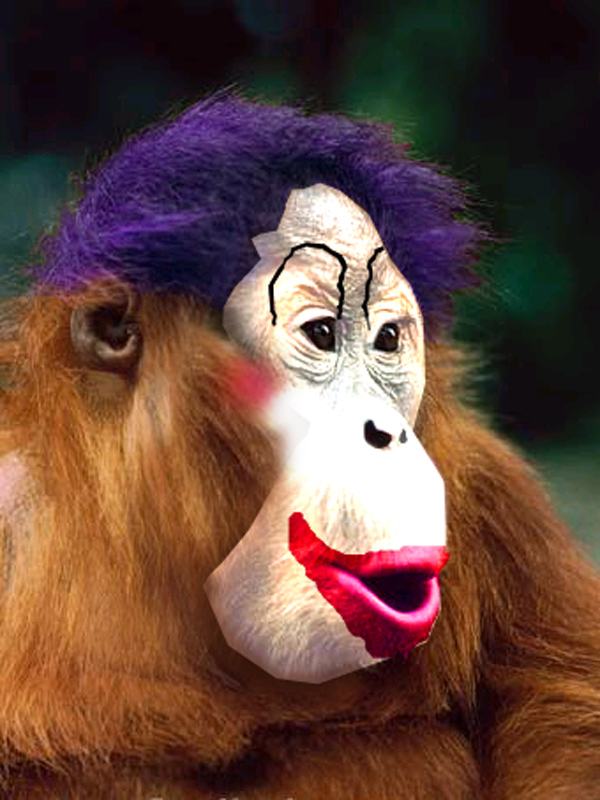 Photoshop Design by PeterAAAWelch for DesignCrowd (Community Contests) | Design #9021916