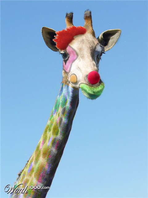 Photoshop Design by babydoll3410