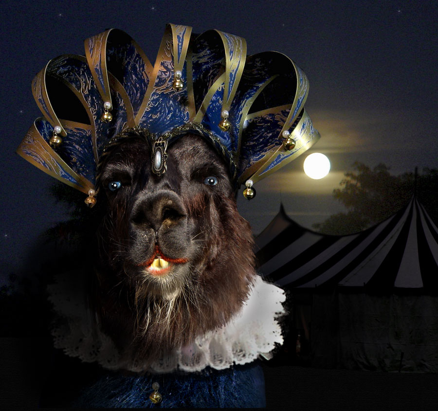 Design Photoshop par Rhopal pour DesignCrowd (Community Contests) | Design #9021945