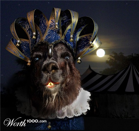 Photoshop Design by Rhopal