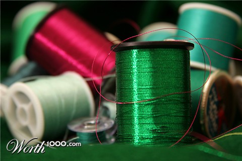 Photography by lilhorseebabee