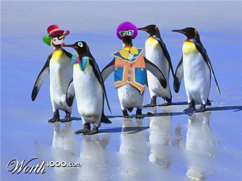 Photoshop Design by chaparro