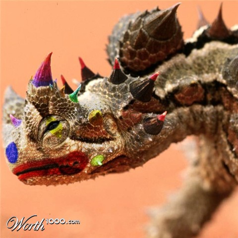 Photoshop Design by IceYeti