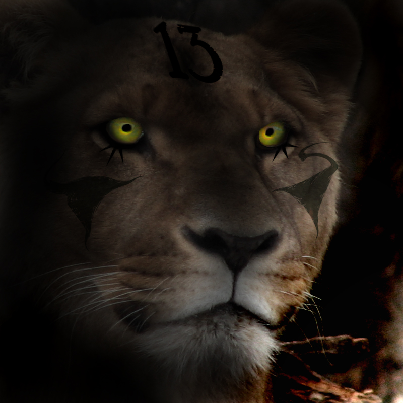 Photoshop Design by bootsie32 for DesignCrowd (Community Contests) | Design #9021946