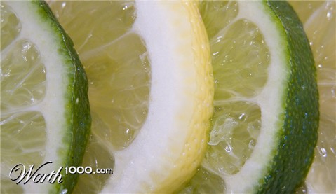 Photography by georgethedog