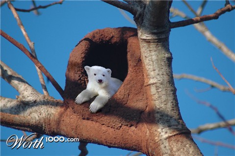 Photoshop Design by underworth