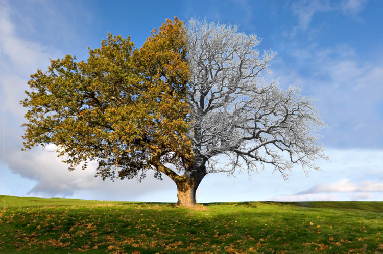 Photoshop Design by godzillatemple for DesignCrowd (Community Contests) | Design #9016366