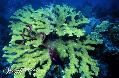 Photoshop Design by TwoLines