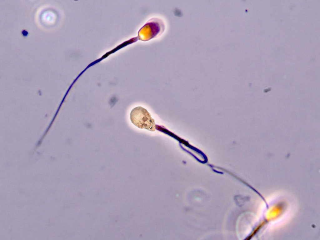 Photoshop-Design von DoctorTweek für DesignCrowd (Community Contests) | Design #9016481