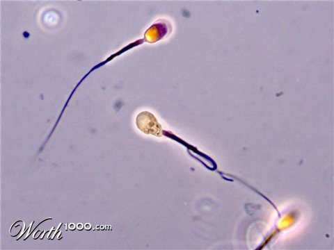 Photoshop Design by DoctorTweek