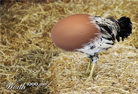 Photoshop Design by Uberzwitter