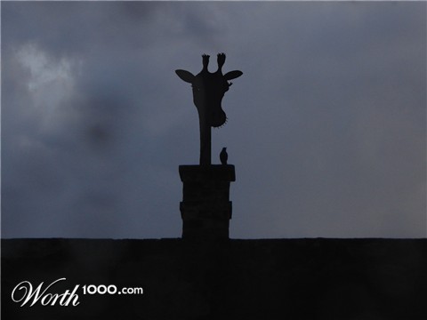 Photoshop Design by barnabus